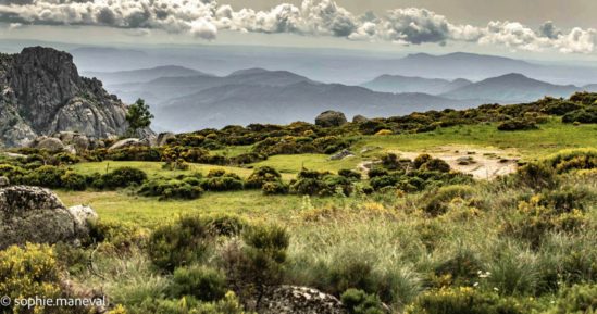 Itinérance d'exception entre Cévennes ardéchoises et Monts Lozère