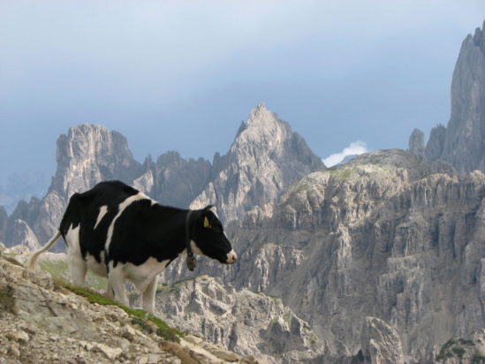 Des randonnées d'exception au cœur des Dolomites