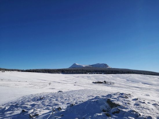 Réveillon raquettes aux pieds... du massif du Mézenc