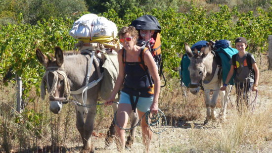 Sud Ardèche et Cévennes, sur les pas des muletiers avec un âne