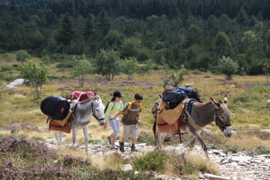 Itinérance en famille avec un âne sur le GR7 et la ligne de partage des eaux (Partie Sud)