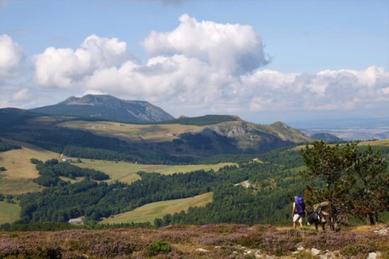 Le tour du Mont Gerbier de Jonc et des Sources de la Loire avec un âne Le tour du Mont Gerbier de Jonc et des Sources de la Loire avec un âne